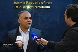 وزیر نفت: مشارکت پتروشیمی‌ها در توسعه میادین گازی، کلید تأمین پایدار خوراک است