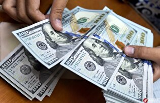 تزریق دلار ۱۵ شرکت پتروشیمی به بازار