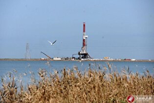 ظرفیت تولید میدان آزادگان جنوبی به ۱۶۰ هزار بشکه رسید