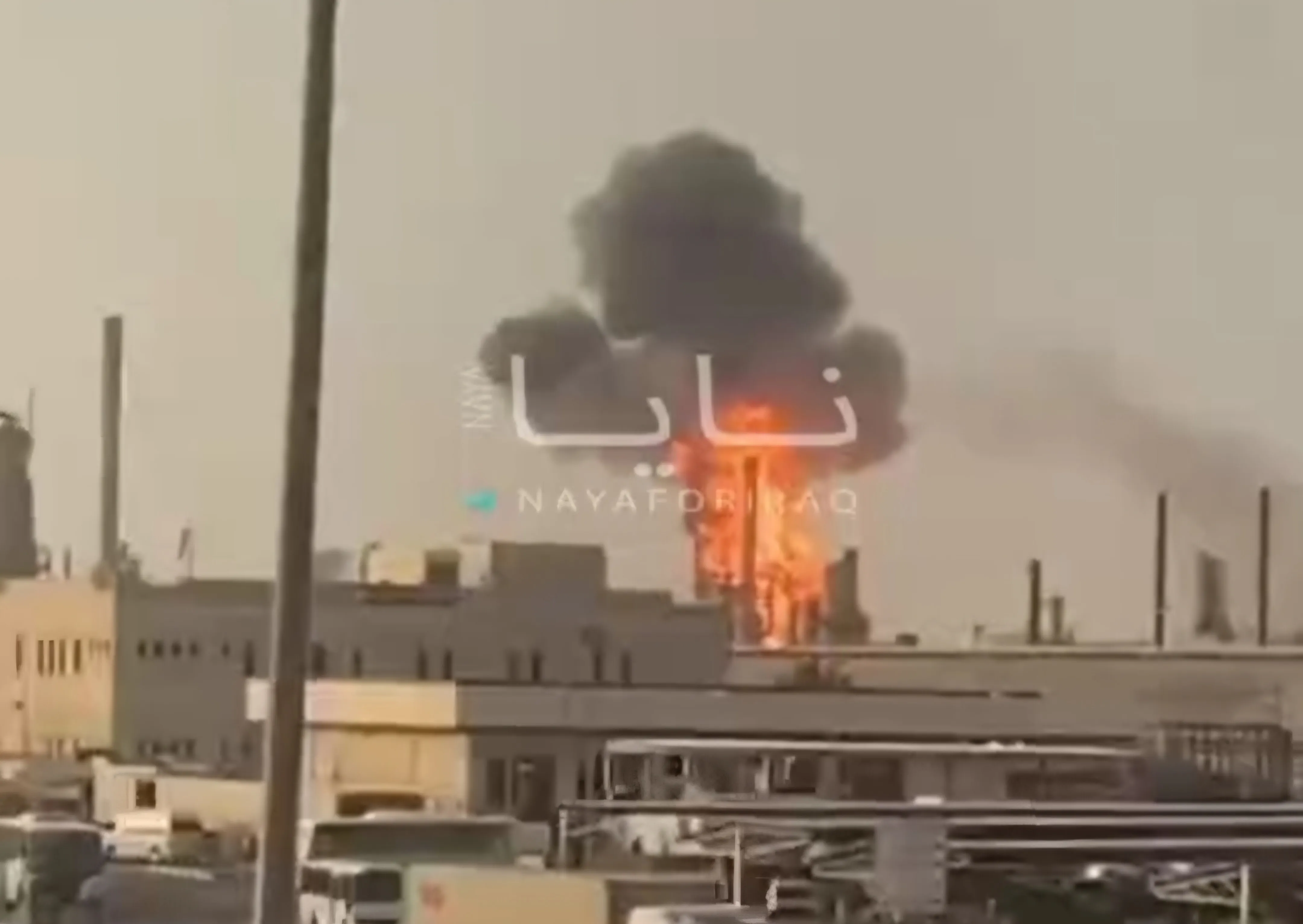 پاپکو