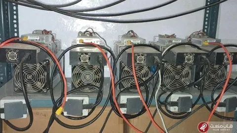 بزرگ‌ترین مزرعه استخراج غیرمجاز رمزارز در نی‌ریز کشف شد