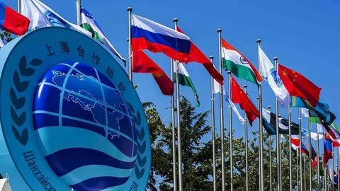 ابتکار انرژی ایران در شانگهای با ارایه پیشنهاد ایجاد کنسرسیوم انرژی