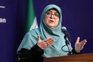 سخنگوی دولت: تعیین دستمزد در شورای عالی کار پیگیری می‌شود