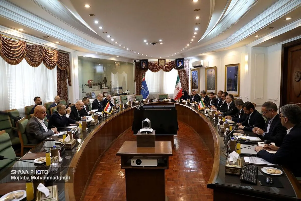 دیدار وزیر نفت ایران با وزیر برق عراق