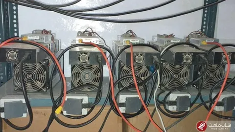 بزرگ‌ترین مزرعه استخراج غیرمجاز رمزارز در نی‌ریز کشف شد