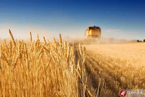 تعیین سهمیه انرژی یارانه‌ای بخش کشاورزی تا سقف الگوی مصرف و پروانه بهره‌برداری