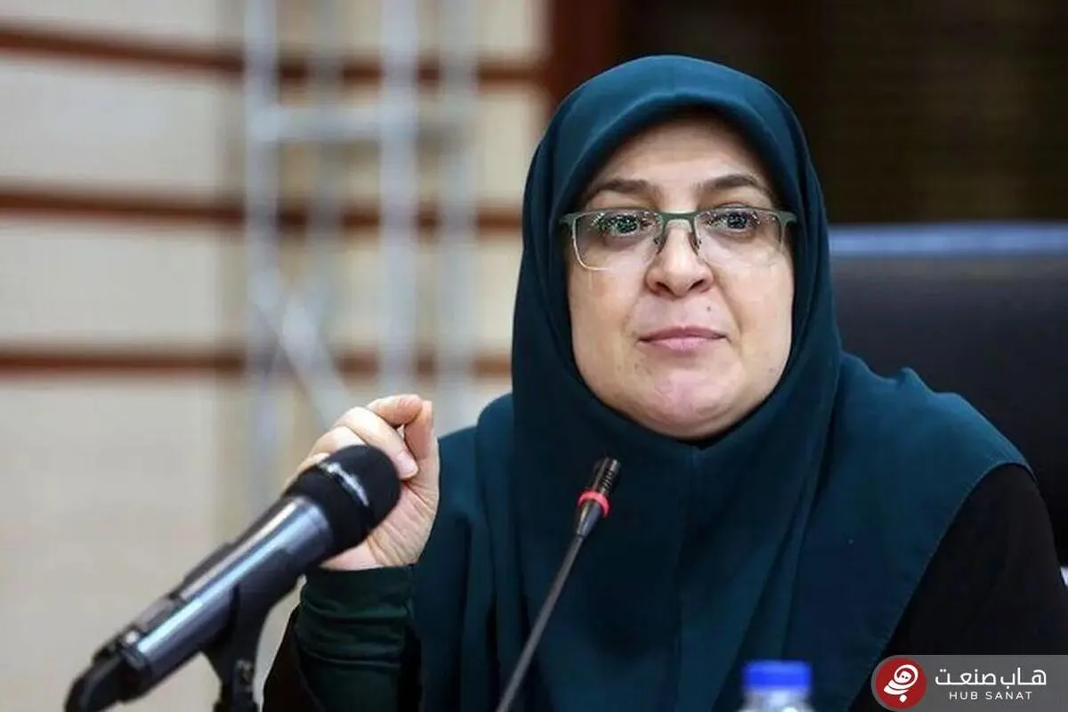 سخنگوی دولت: دولت مصوبه‌ای درباره بنزین نداشته است