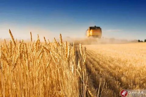 تعیین سهمیه انرژی یارانه‌ای بخش کشاورزی تا سقف الگوی مصرف و پروانه بهره‌برداری