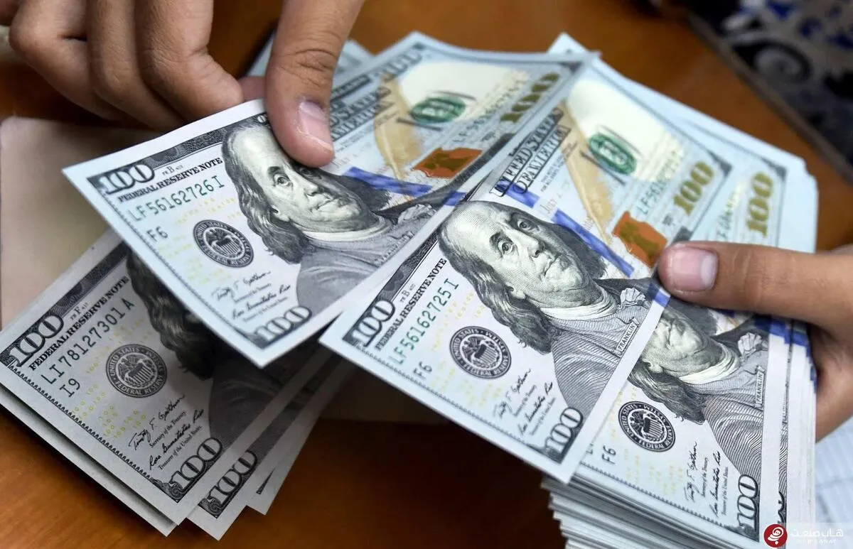 تزریق دلار ۱۵ شرکت پتروشیمی به بازار